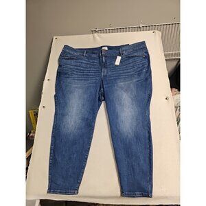Lane Bryant Jeans Womens Sz 34/36 High-Rise Skinny Tighter Tummy New